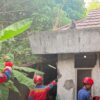 Petugas Damkar Evakuasi Monyet Ekor Panjang di Kota Bekasi