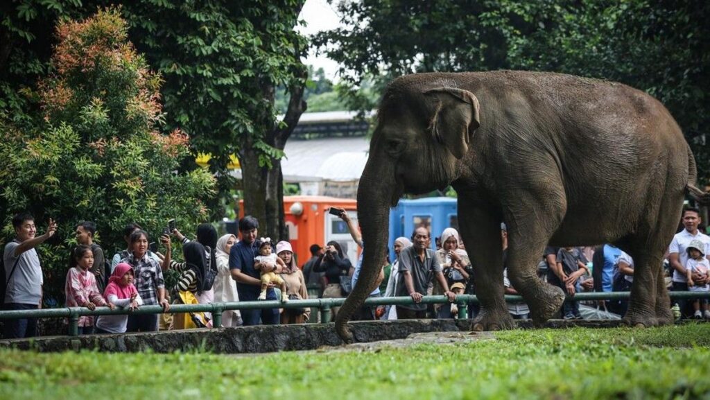DPRD DKI Jakarta Desak Evaluasi Pengamanan Ragunan Pascabocah Jatuh