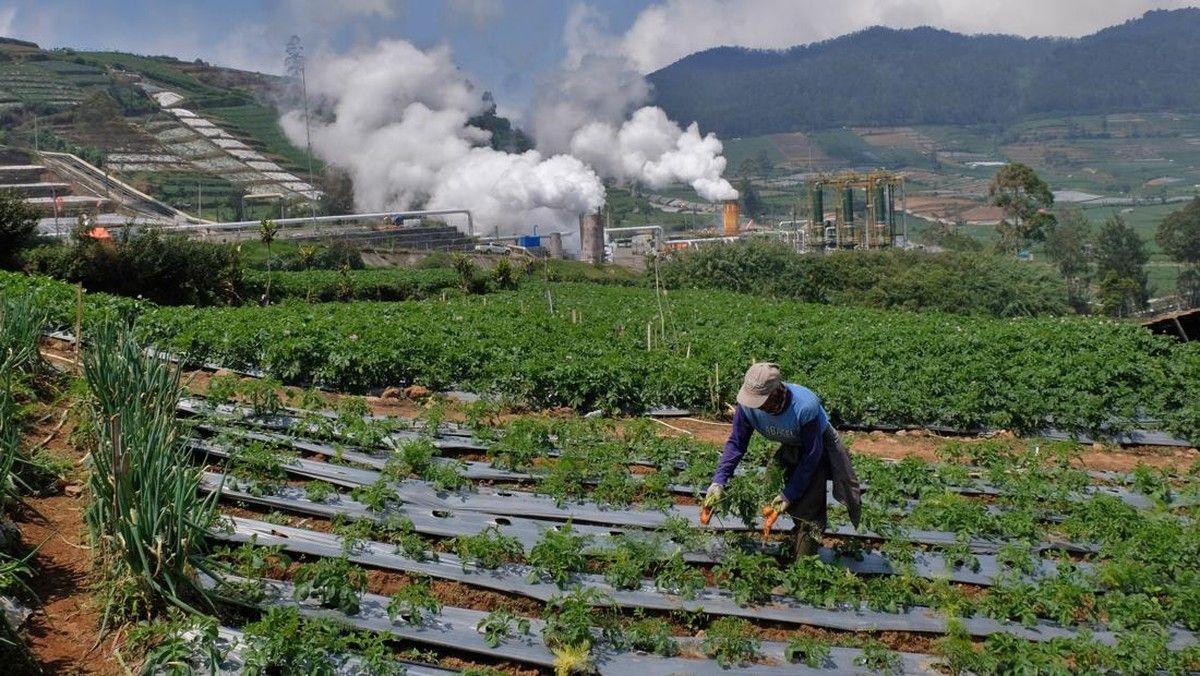 Pemerintah Mulai Bangun PLTP Dieng Unit 2 Berkapasitas 55 MW