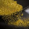 Harga Emas Dunia Turun Tiga Hari Beruntun ke Level Terendah