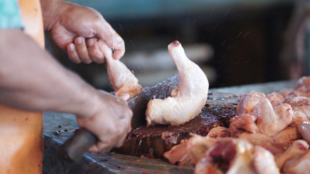 Prabowo Subianto Soroti Porsi Ayam Program Makan Bergizi Gratis