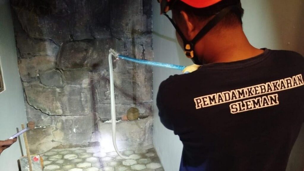 Petugas Damkar Sleman Evakuasi Ular Kobra Jawa di Rumah Eross Candra