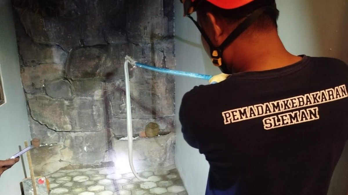 Petugas Damkar Sleman Evakuasi Ular Kobra Jawa di Rumah Eross Candra
