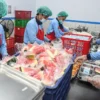 Pemerintah Hitung Ulang Anggaran Insentif Dapur Makan Bergizi Gratis