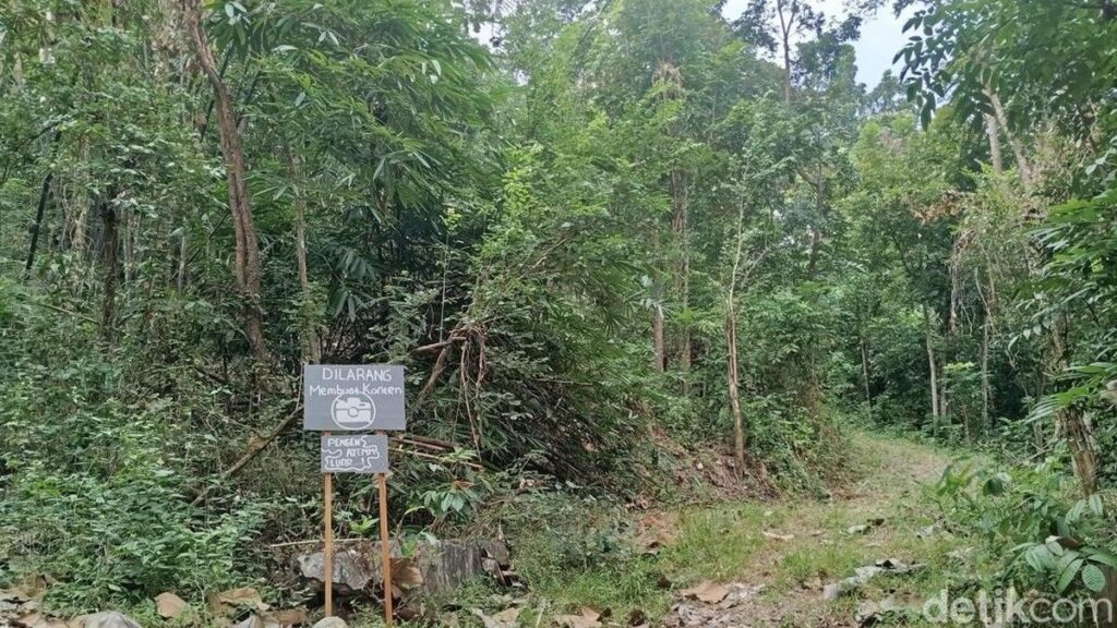 Warga Sumberharjo Sleman Larang Aktivitas Pembuatan Konten di Kampung Mati