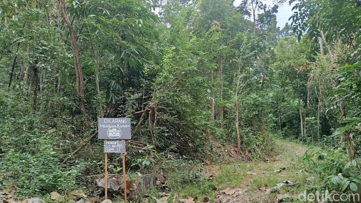 Warga Sumberharjo Sleman Larang Aktivitas Pembuatan Konten di Kampung Mati