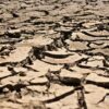 Lembaga Sains Cuaca Peringatkan Potensi El Nino Terkuat Sepanjang Sejarah