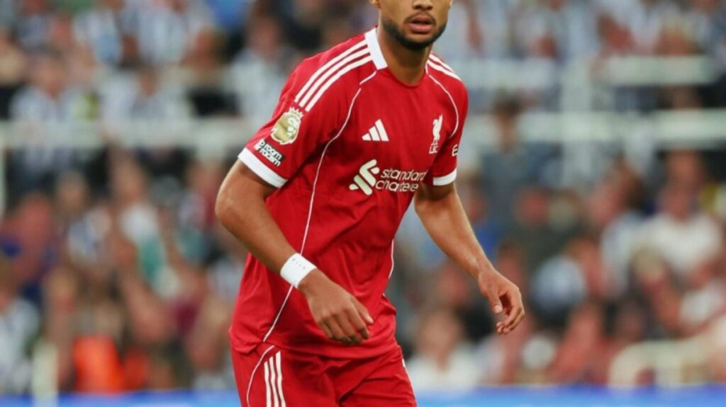 Tottenham Hotspur Siapkan Dana Transfer Cody Gakpo Dari Liverpool