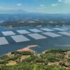 Kementerian ESDM Revisi RUPTL Demi Kejar Target PLTS 100 GW