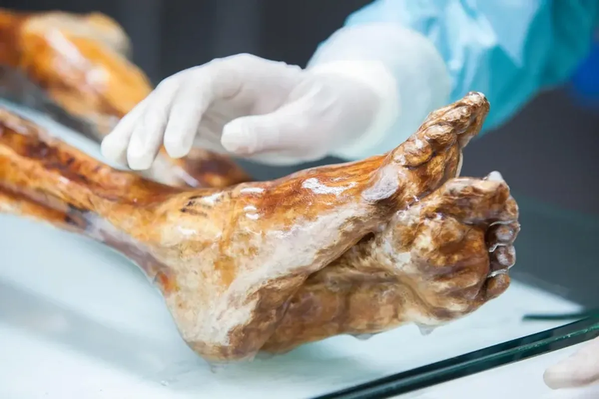 Peneliti Italia Kembangkan Sourdough Kuno dari Ragi Mumi Otzi