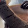 3 Berita Terpopuler detikFood: Panen Caviar hingga Kopitiam Jakbar
