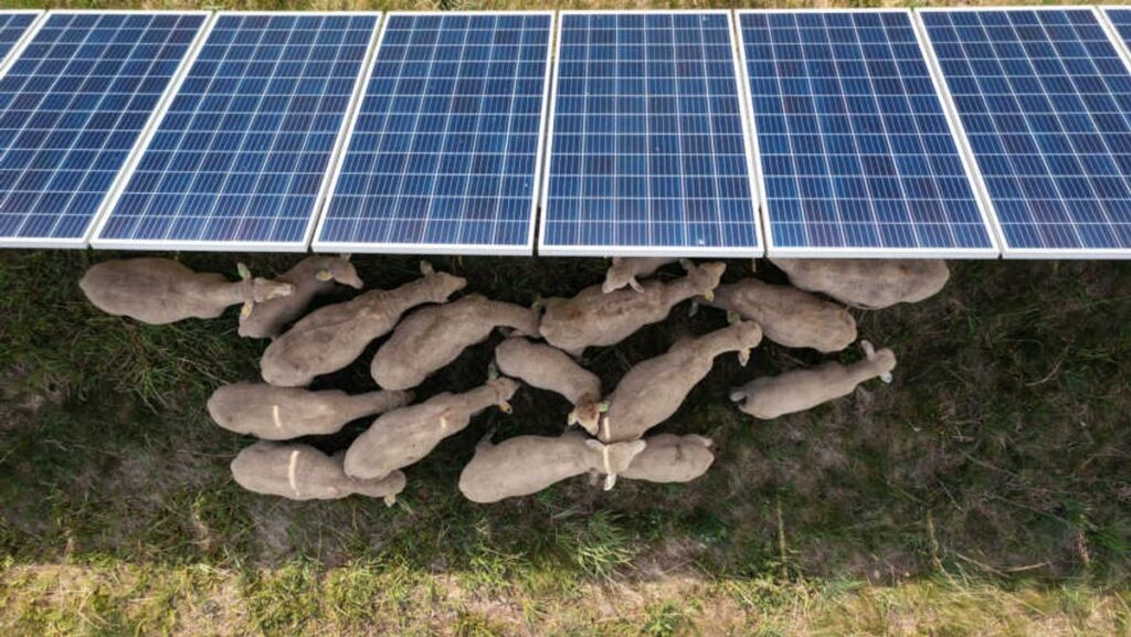 China Desak Percepatan Transisi Energi di Forum Ekonomi Dunia