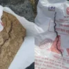 Ibu Hamil Temukan Bangkai Anak Ular dalam Paket Bantuan Makanan