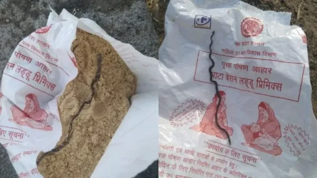 Ibu Hamil Temukan Bangkai Anak Ular dalam Paket Bantuan Makanan