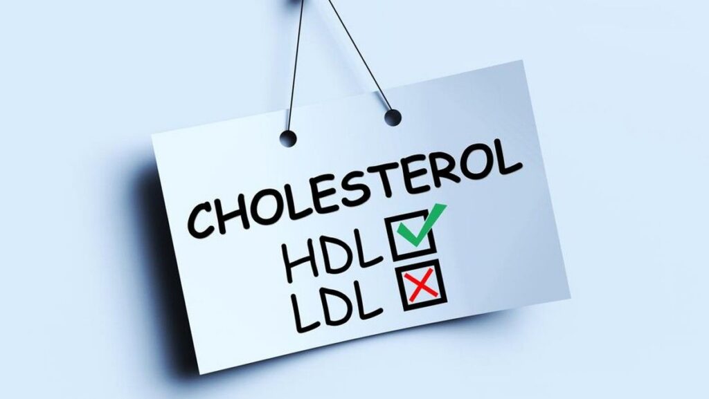 Kenali Perbedaan Kolesterol HDL dan LDL Beserta Kadar Normalnya