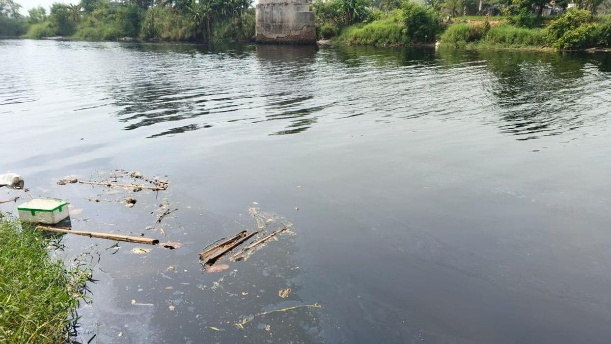 DPRD Kabupaten Serang Desak Pengusutan Pencemaran Sungai Ciujung