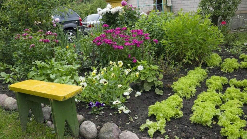 Mengenal Foodscaping Tren Berkebun yang Satukan Tanaman Hias dan Pangan