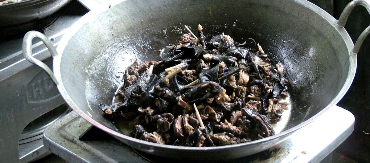 TasteAtlas Masukkan Paniki Sulawesi Utara dalam Daftar Makanan Terburuk di Dunia 2026