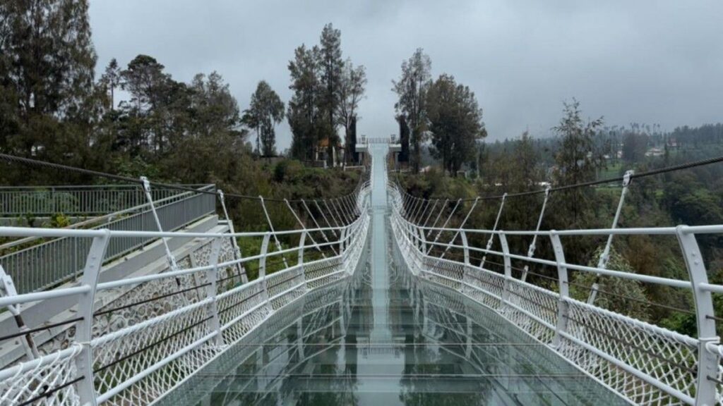 BB TNBTS Sewakan Aset Jembatan Kaca Bromo ke Swasta