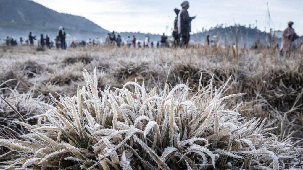 BMKG Ungkap Penyebab Fenomena Bediding yang Memicu Suhu Cold di Jawa