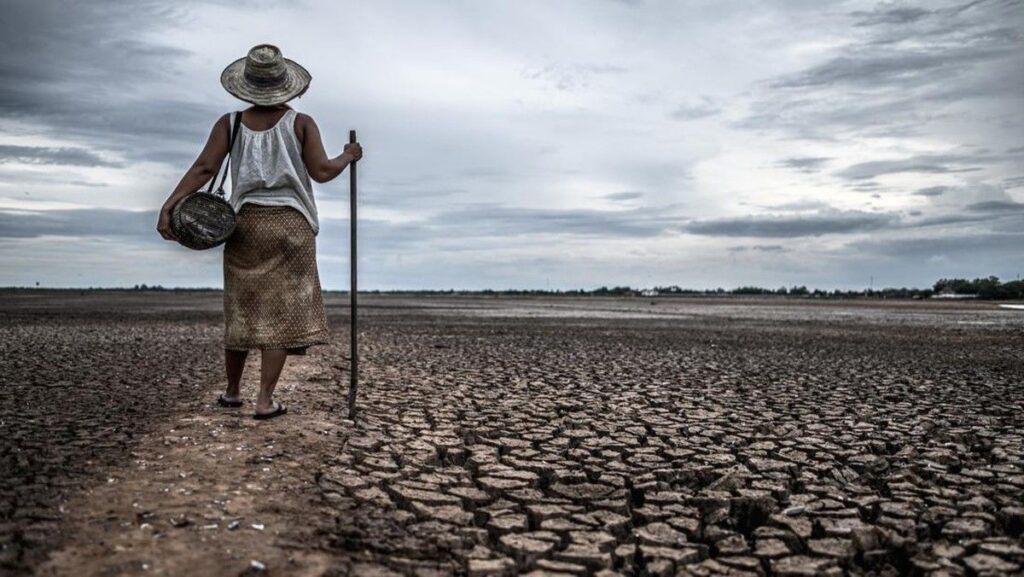 Super El Nino Prediksi Pangkas Ekonomi dan Picu Migrasi di Afrika