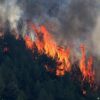 Kebakaran Hutan di Spanyol Selatan Tewaskan 12 Orang