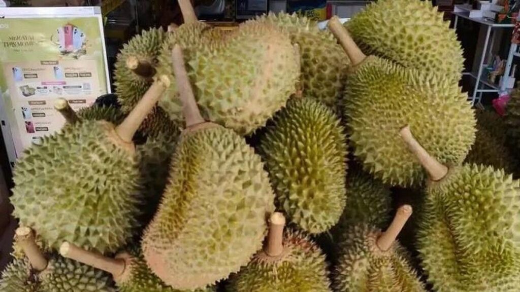 Harga Durian Musang King di Malaysia Anjlok hingga Sembilan Puluh Persen