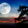 Fenomena Bulan Purnama Aquarius Pemicu Perubahan Empat Zodiak