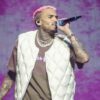 Chris Brown Dihukum Bayar Ganti Rugi Rp 213 Miliar Akibat Serangan Anjing