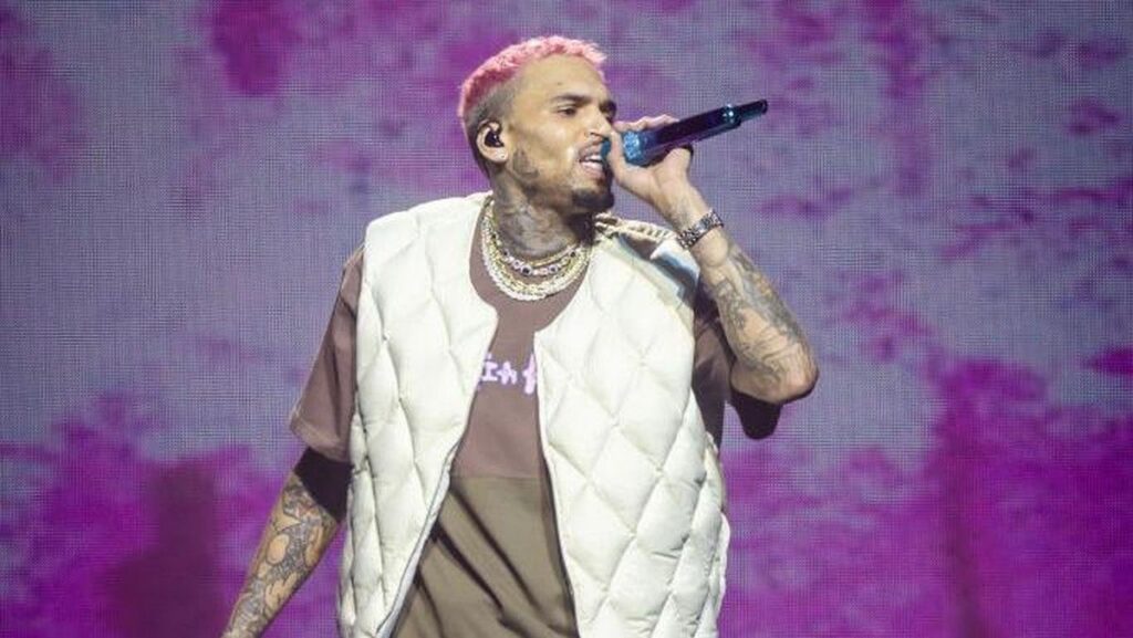 Chris Brown Dihukum Bayar Ganti Rugi Rp 213 Miliar Akibat Serangan Anjing