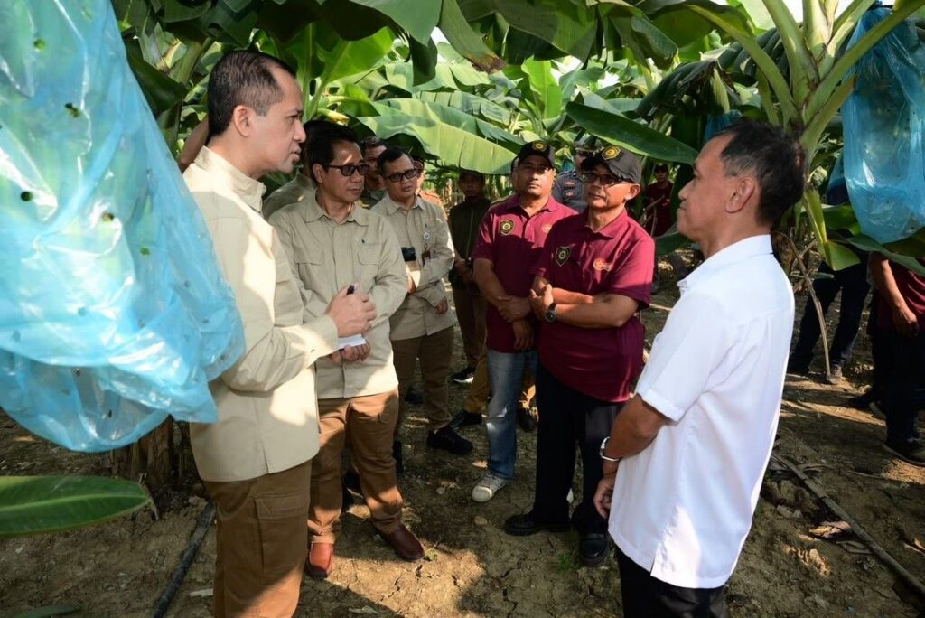 Menteri Transmigrasi Dorong Pengembangan Komoditas Unggulan Daerah
