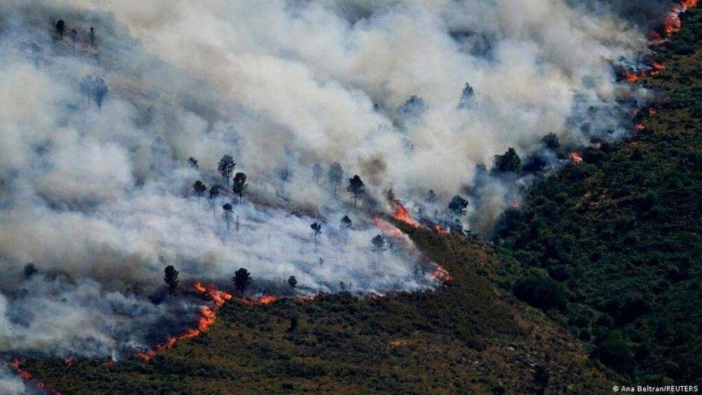 Kebakaran Hutan di Le Porge Prancis Paksa 20 Ribu Orang Dievakuasi