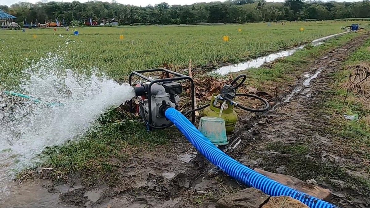 Kementan Distribusikan 56 Ribu Pompa Air Atasi Kekeringan Sawah