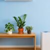 Kombinasi AC dan Air Purifier Menjadi Kunci Udara Rumah Sehat