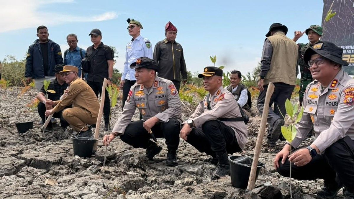 Polda Riau Tanam Kembali Mangrove di Lahan Rusak Rokan Hilir