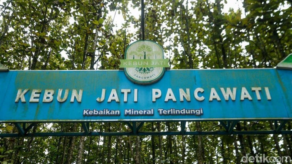 Review Kebun Jati Pancawati Bogor: Wisata Alam Alternatif Puncak