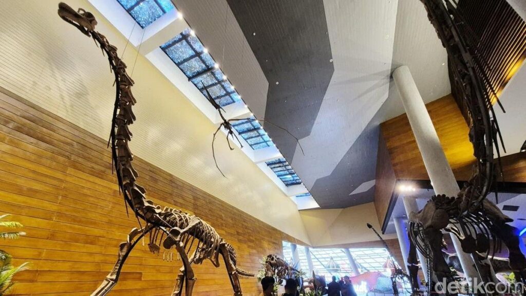 Museum Tahir Solo Pamerkan Fosil Dinosaurus Asli China Pertama di Indonesia