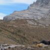 Salju Abadi Puncak Jaya Papua Menyusut Drastis Sisa 2 Persen