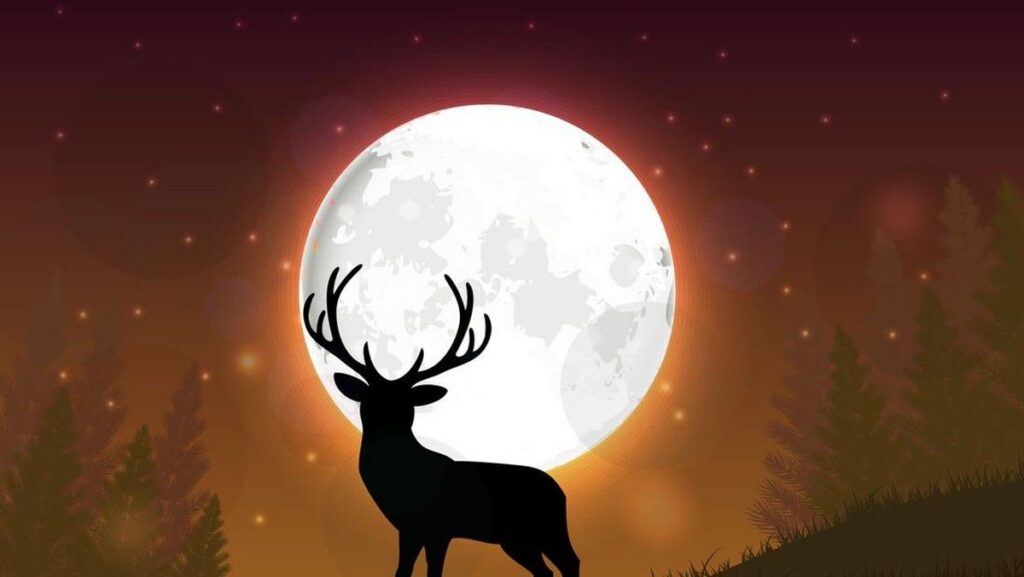 Fenomena Buck Moon Terjadi Malam Ini 29 Juli 2026