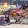 Kuda Dua Tahun Bersaing di Turnamen Next Generation Scioto Downs