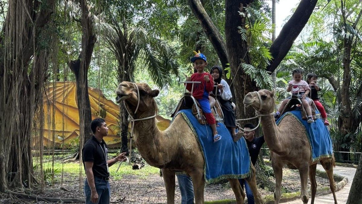 Kejati Jatim Tahan Mantan Dirut KBS Kasus Korupsi Rp 102 Miliar