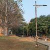 Taman Ria Rio Viral di Jakarta Timur Tawarkan Pohon Baobab Ikonik