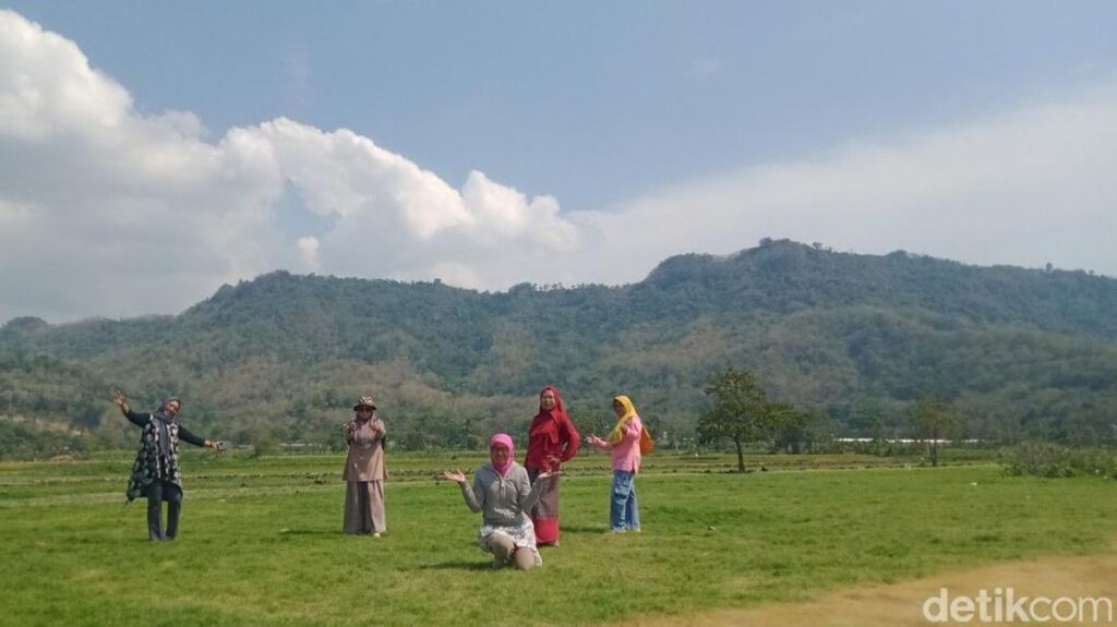 Petani Klaten Pasang Papan Larangan Setelah Sawah Viral Diterobos Pengunjung