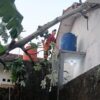 Pohon Kicopong Tumbang Menimpa Atap Rumah di Bogor Barat