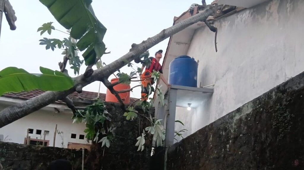 Pohon Kicopong Tumbang Menimpa Atap Rumah di Bogor Barat