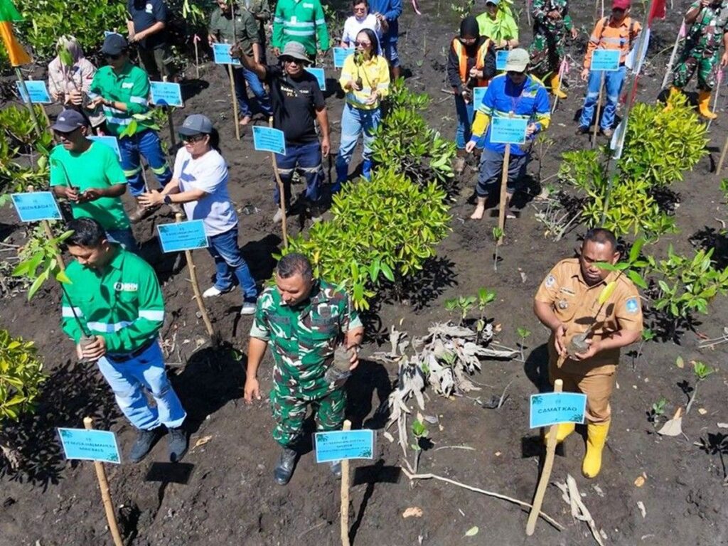 PT NHM dan Pemda Halmahera Utara Tanam Mangrove di Desa Kao