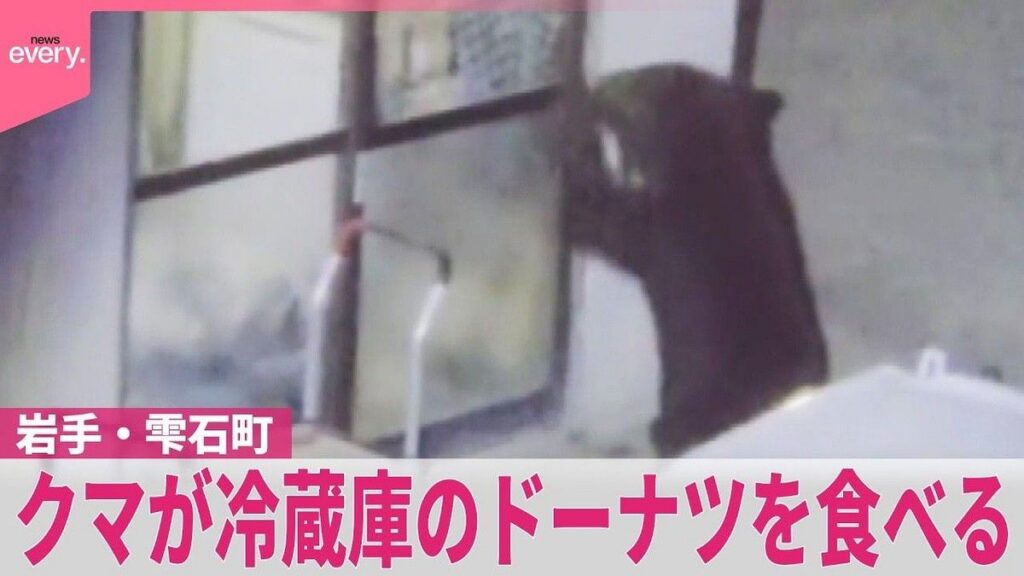 Beruang Liar di Jepang Dobrak Rumah Warga Demi Incar Camilan Manis