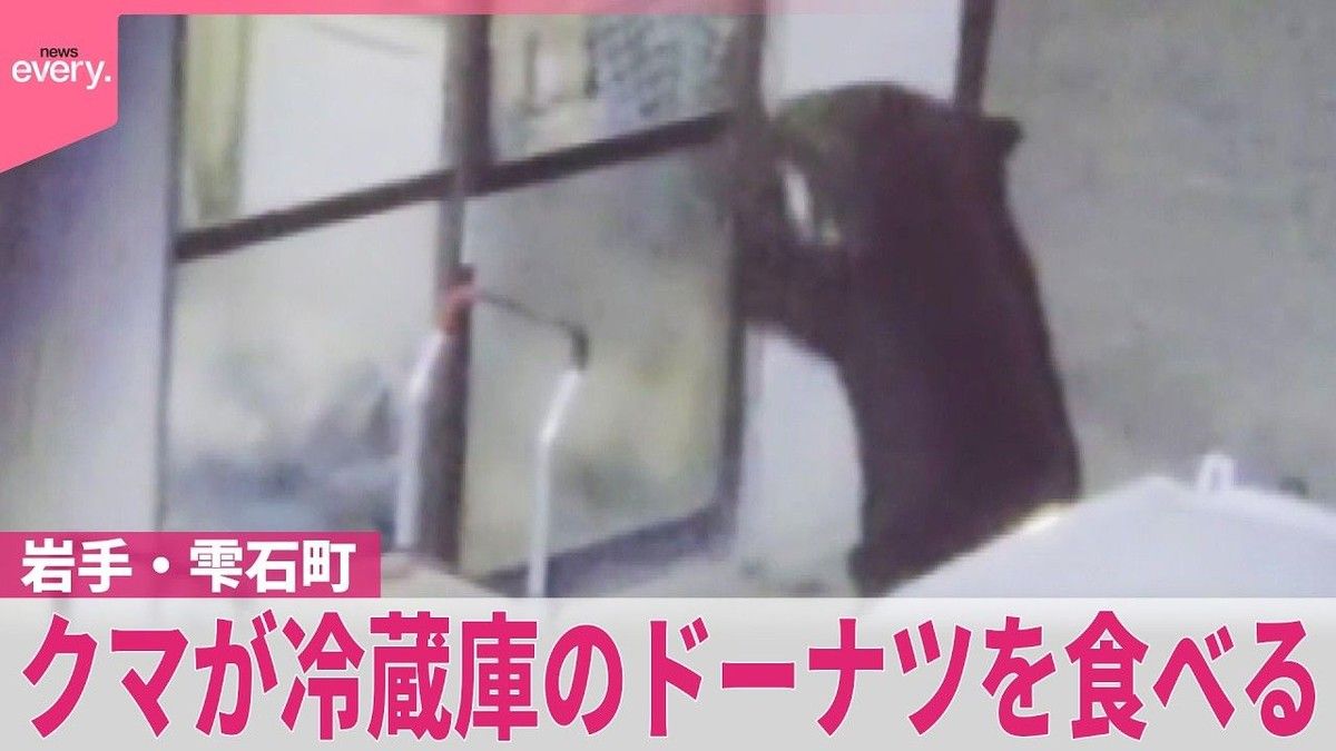 Beruang Liar di Jepang Dobrak Rumah Warga Demi Incar Camilan Manis
