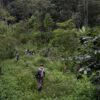 WWF Indonesia Dukung Penambahan Forest Ranger Kementerian Kehutanan
