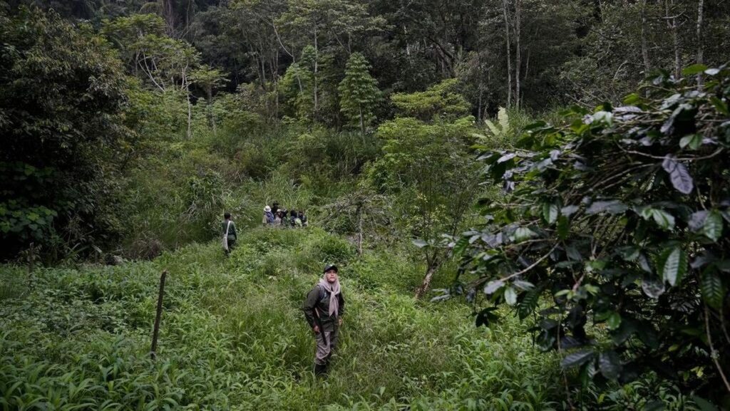 WWF Indonesia Dukung Penambahan Forest Ranger Kementerian Kehutanan
